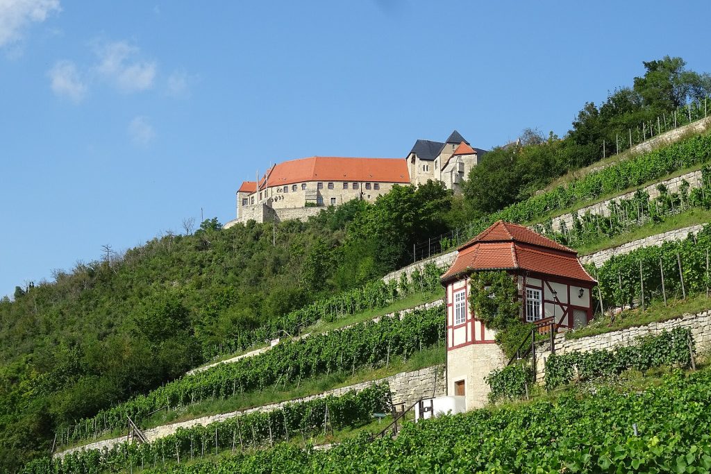 Die Neuenburg über Freyburg