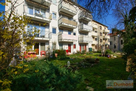 Traumhafte Wohnung mit viel Platz, gemütlicher Terrasse im Grünen und 4 PKW Stellplätzen., 06217 Merseburg, Erdgeschosswohnung