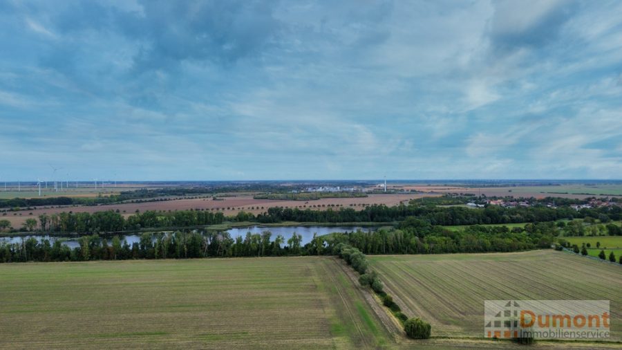 Luftaufnahme Cösitzer Teich