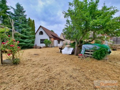 Natur pur nahe dem See – freistehendes Einfamilienhaus mit traumhaftem Grundstück in Frankleben., 06259 Frankleben, Einfamilienhaus